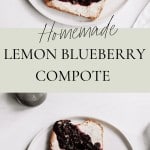 Homemade blueberry compote on goat cheese toast