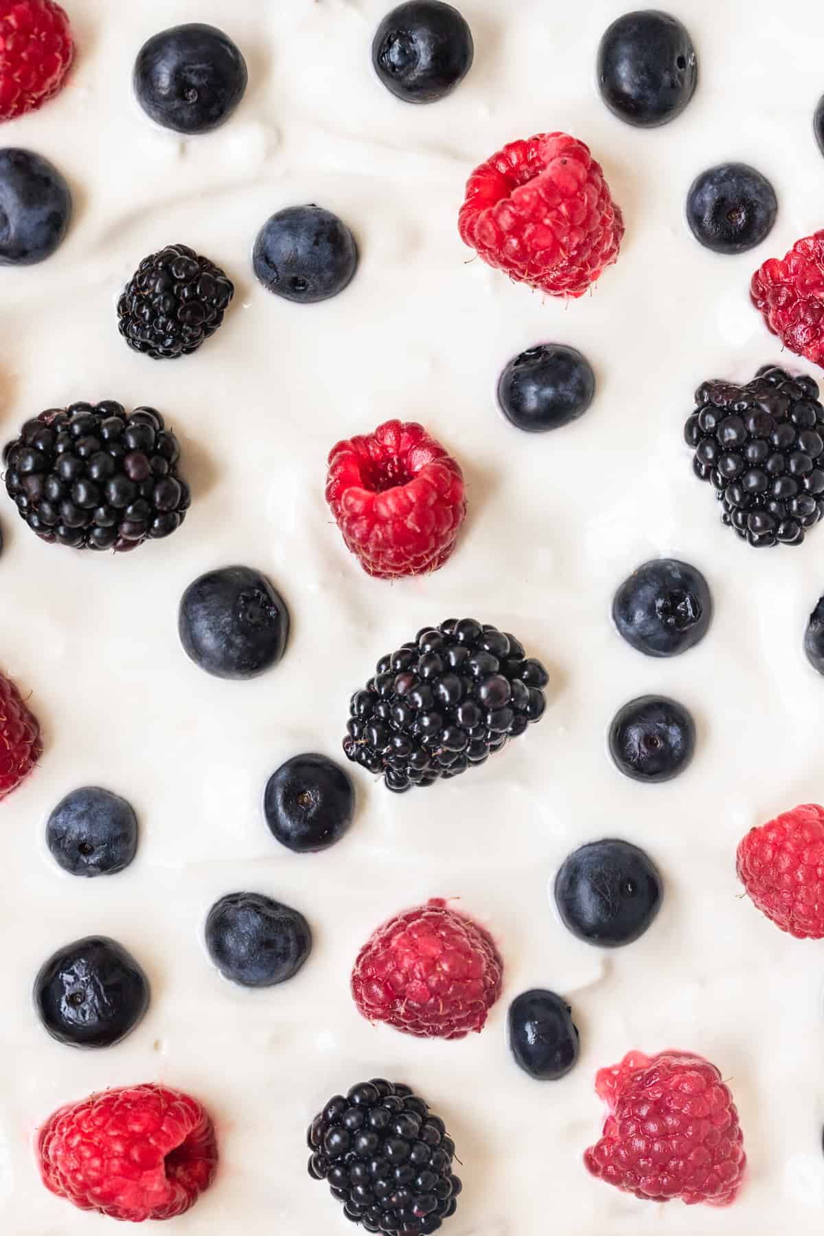 Close up of blueberries, raspberries, and blackberries on top of yogurt.
