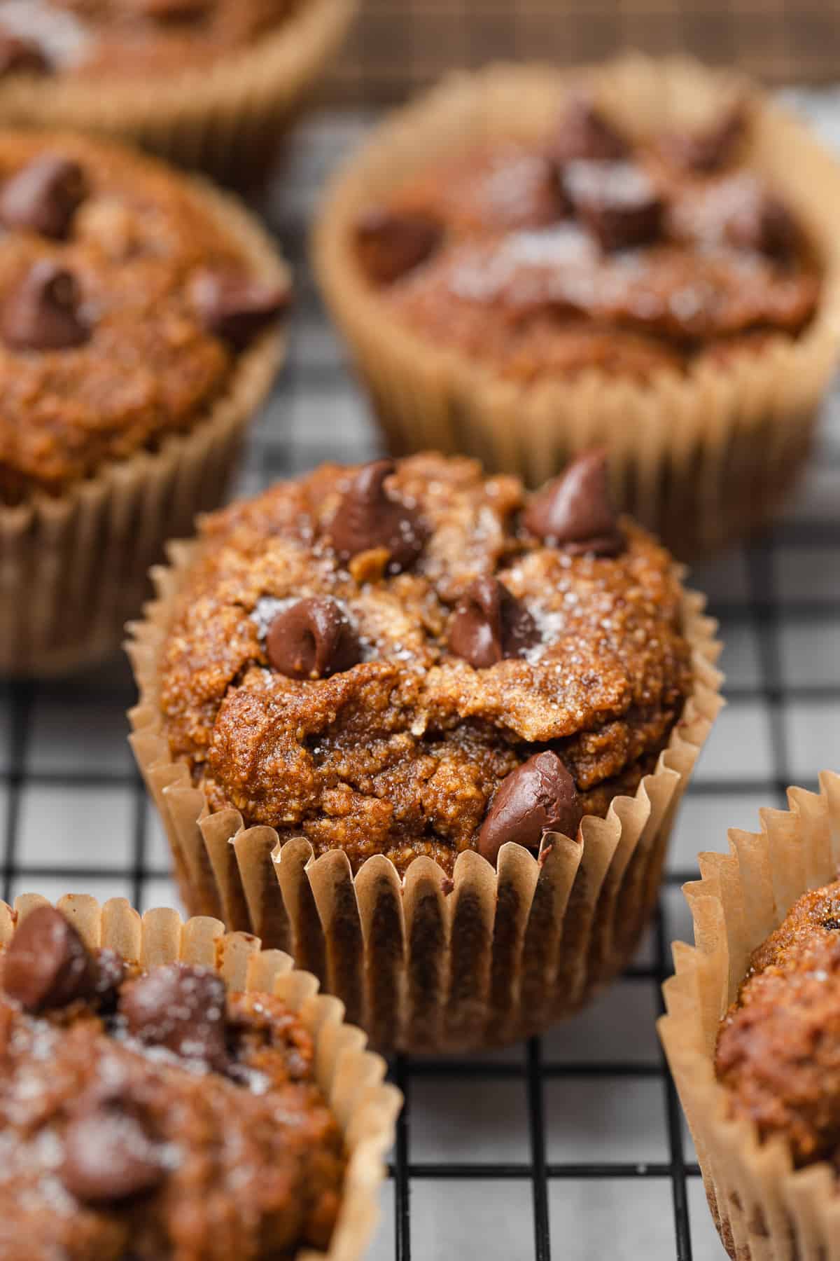 A closeup of a pumpkin muffin with chocolate chips.