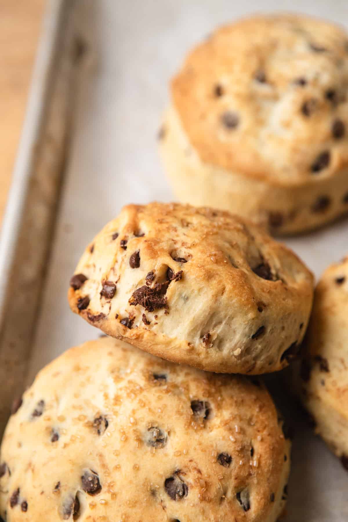 Chocolate chip biscuits on a baking sheet.