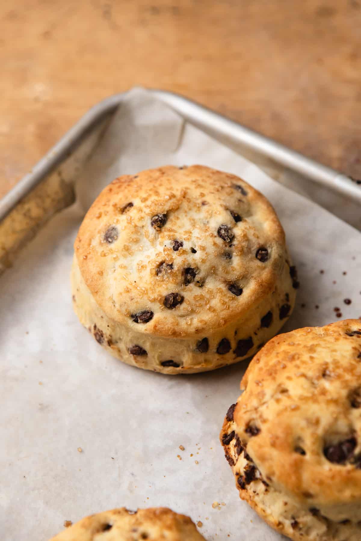 A chocolate chip biscuit on a parchment lined baking tray.