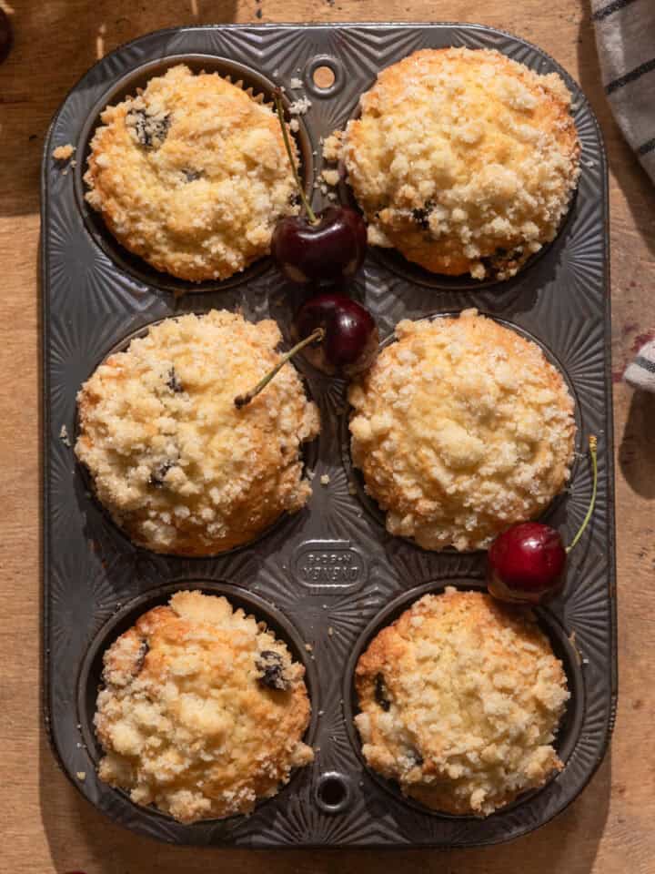 Overhead shot of muffins with dried cherries in a metal muffin pan.