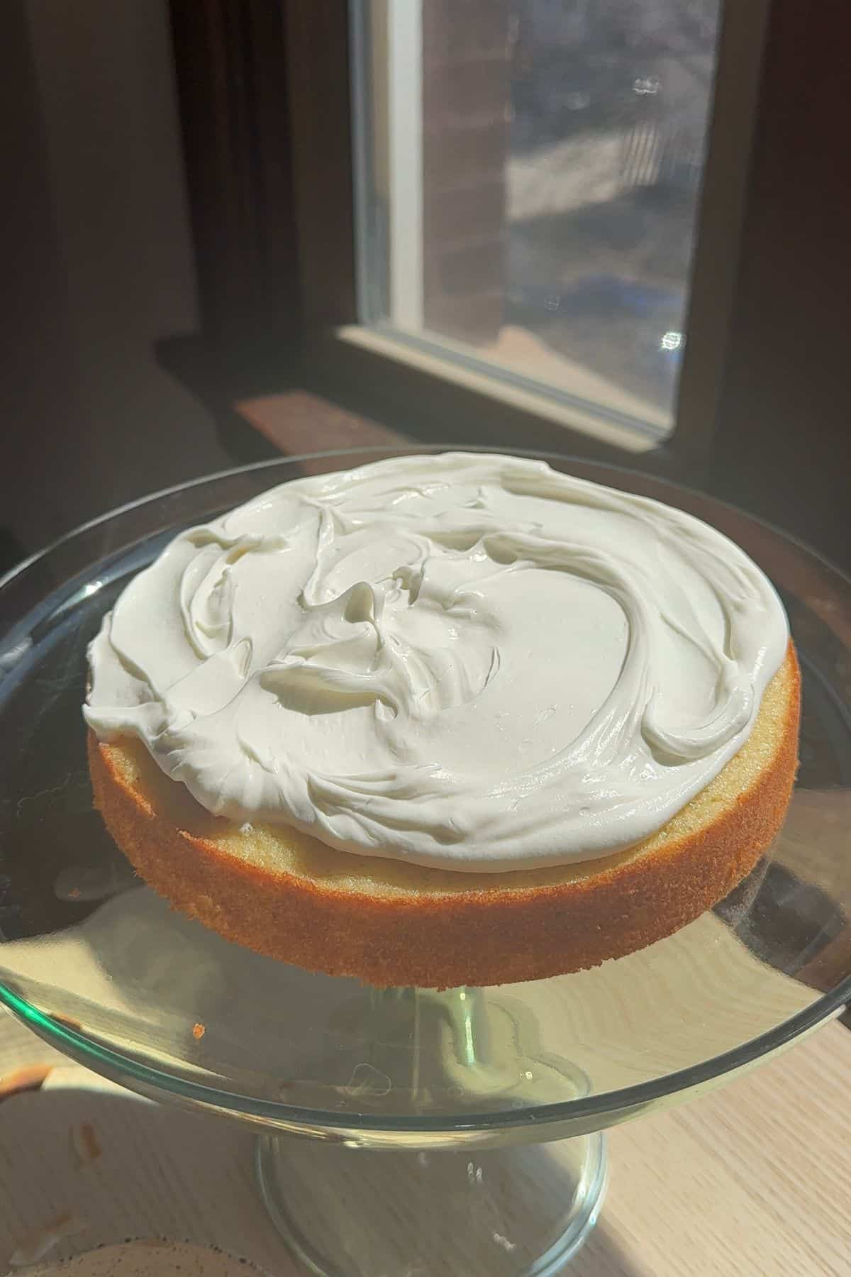 Cake with coconut ganache spread on top.