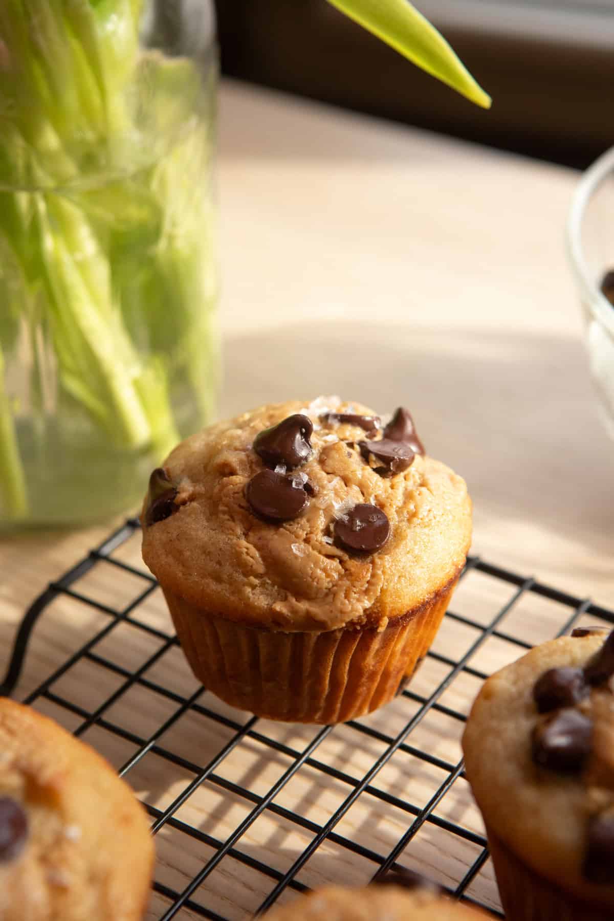 A muffin with chocolate chips and flaky salt on a wire rack.